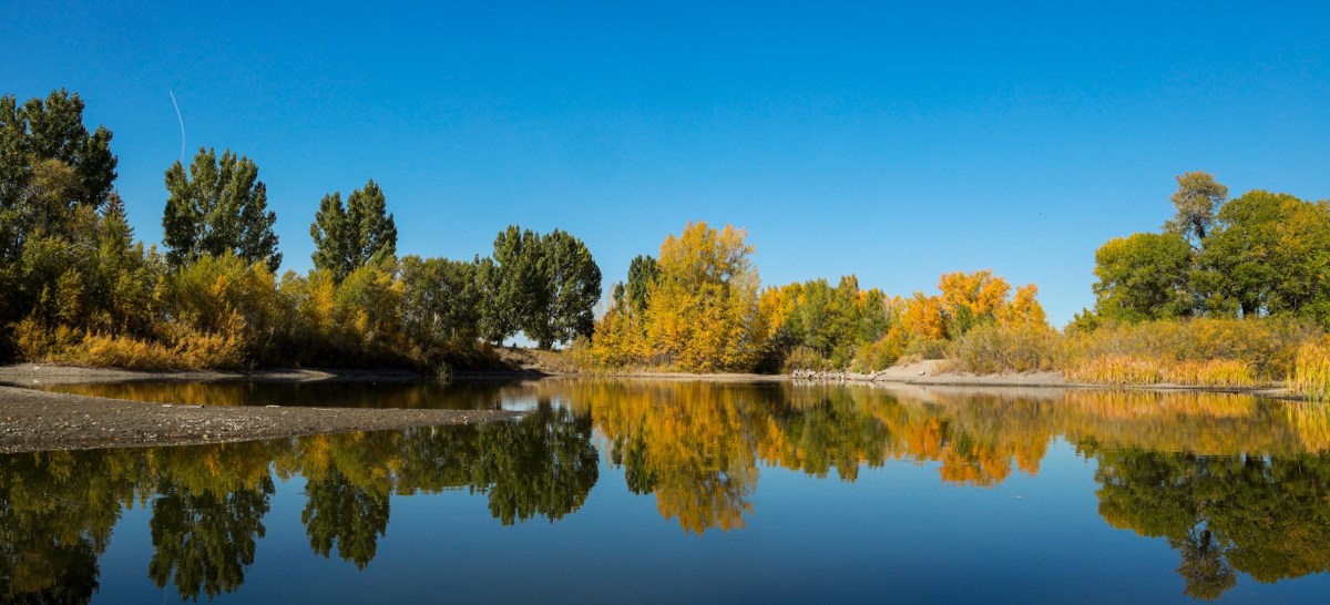 The Perspective of&nbsp;Nine