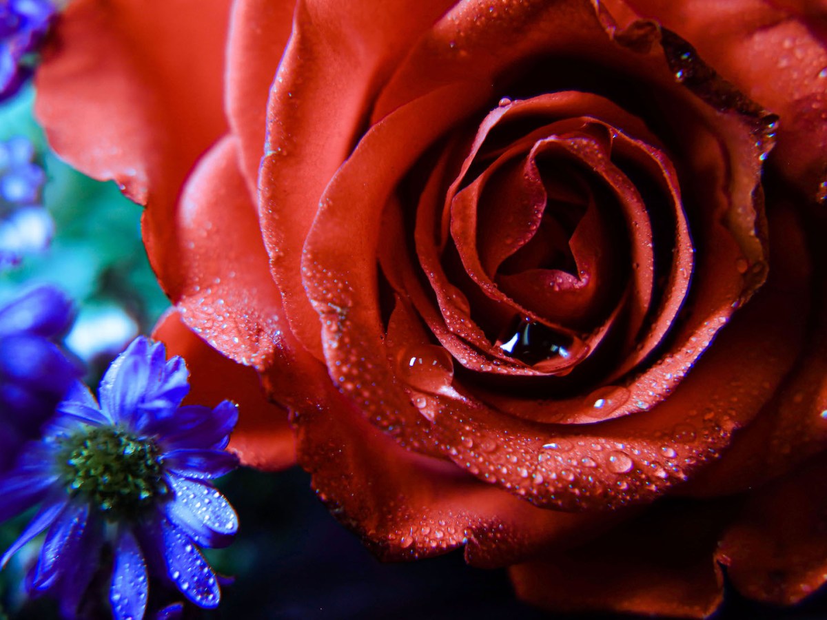 When We Meet&nbsp;Again