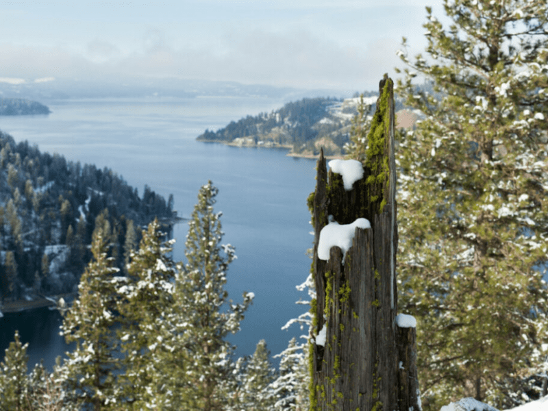 17 Reasons Not to Move to Coeur D’Alene, Idaho (Voted by the&nbsp;locals!)