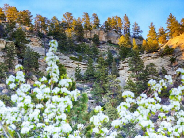 17 Reasons To Move to Billings,&nbsp;Montana