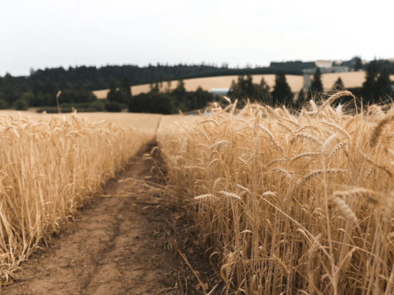 17 Reasons to Move to Hillsboro,&nbsp;Oregon