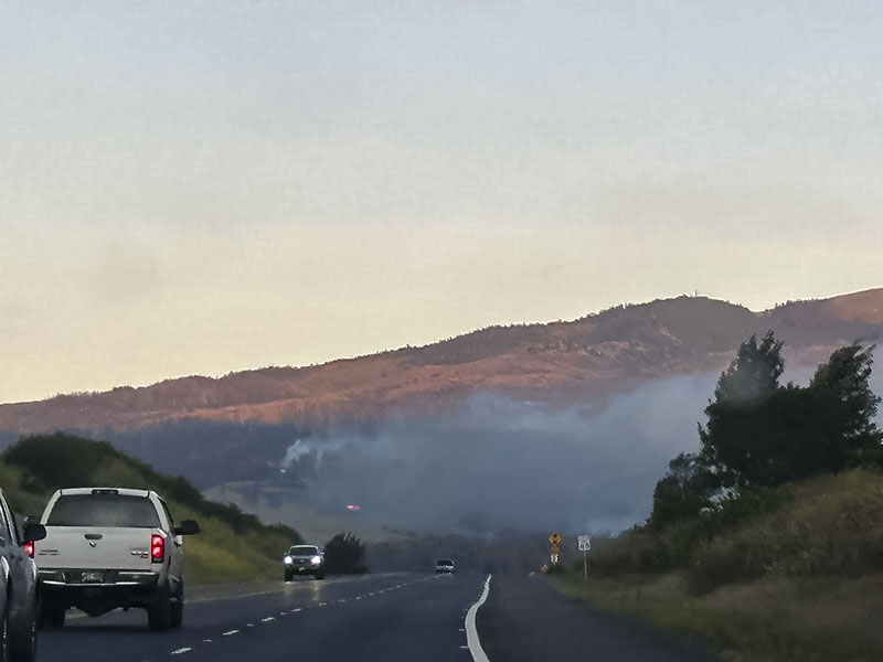 BYU-I student serves Lahaina&nbsp;families