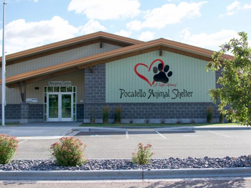 Pocatello Animal Services uses facial recognition to find lost&nbsp;pets
